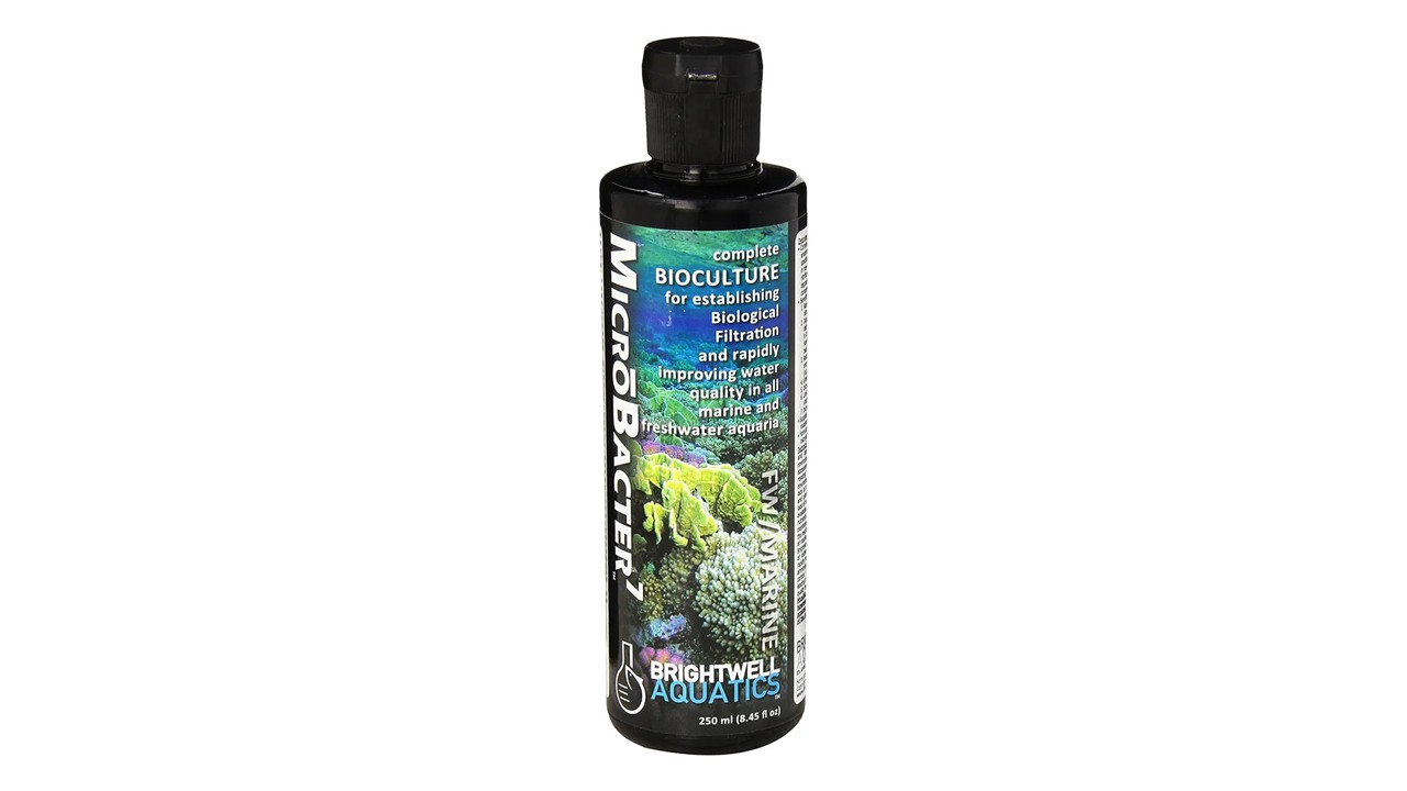ACONDICIONADOR DE AGUA -BACTERIAS NITRIFICANTES MICROBACTER DE BRIGHTWELL 250 ML