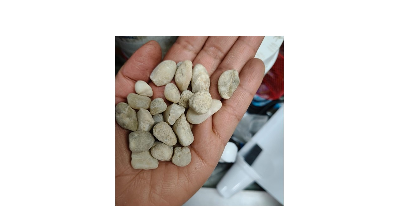 grava , piedras o gravillas naturales para acuarios por 1 kilo - Imagen 6